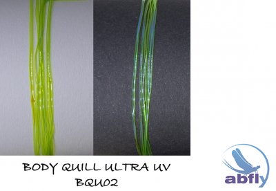Body Quill UltraUV 02