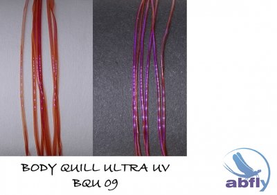 Body Quill UltraUV 09