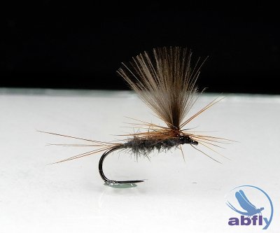 Sucha Mucha Parachute Emerger CDC S72