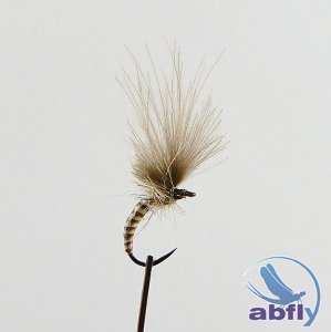 Sucha Mucha Emerger Natural Quill II