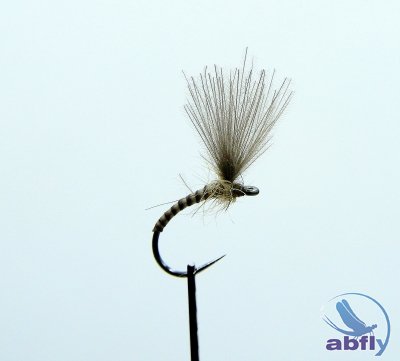 Sucha Mucha Emerger Quill Natural IV