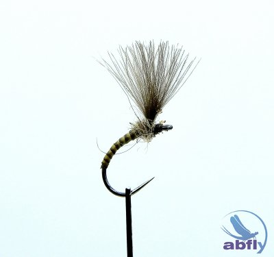 Sucha Mucha Emerger Quill Olive IV