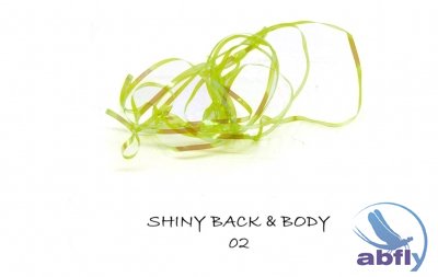 Shiny Back & Body 02