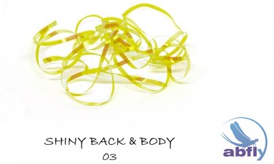 Shiny Back & Body 03