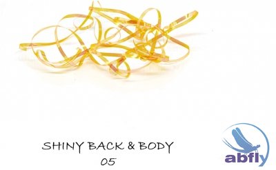 Shiny Back & Body 05