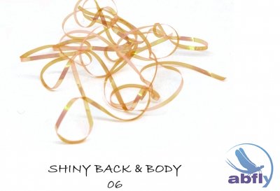 Shiny Back & Body 06