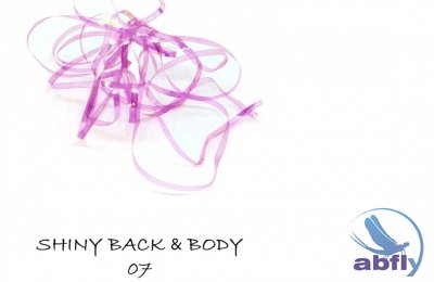 Shiny Back & Body 07