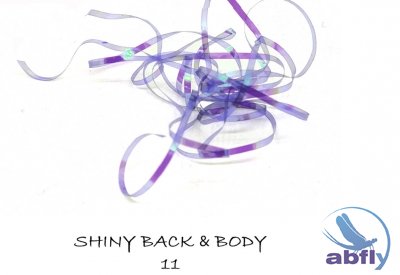 Shiny Back & Body 11