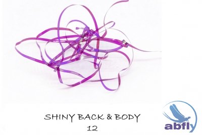 Shiny Back & Body 12