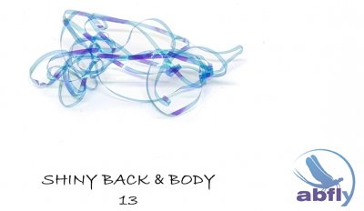 Shiny Back & Body 13