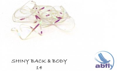 Shiny Back & Body 14