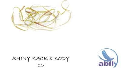 Shiny Back & Body 15