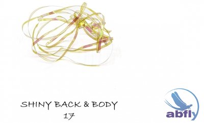 Shiny Back & Body 17