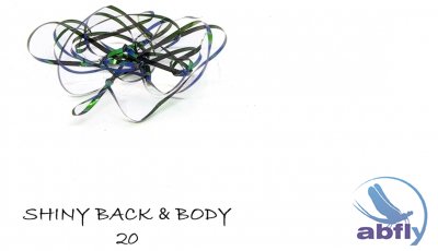 Shiny Back & Body 20