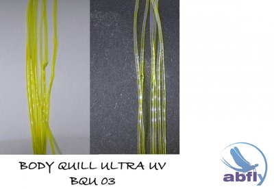Body Quill UltraUV 03