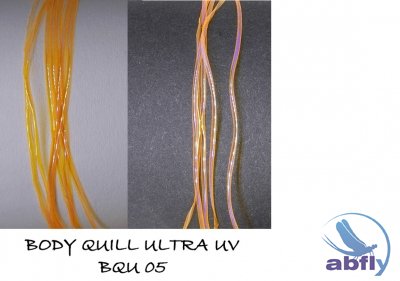 Body Quill UltraUV 05