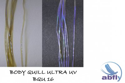 Body Quill UltraUV 16