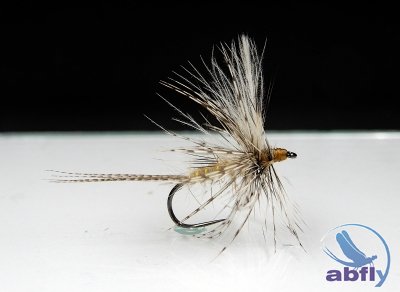 Sucha Mucha CDC M.B. FEMALE V S82