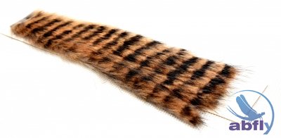 Zonkers Strip Muskrat Tiger