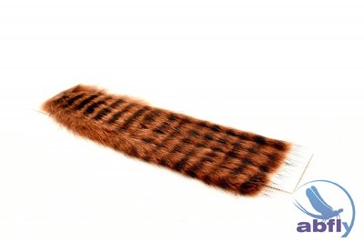 Zonkers Strip Muskrat Brown Tiger