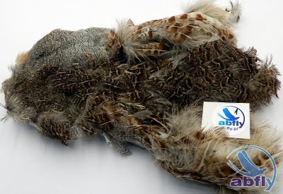 Skóra Kuropatwy (Partridge Grey Skin) 1
