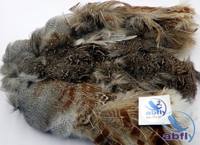 Skóra Kuropatwy (Partridge Grey Skin) 2