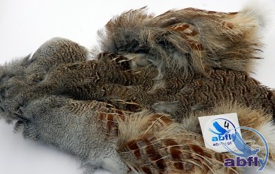 Skóra Kuropatwy (Partridge Grey Skin) 4