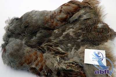 Skóra Kuropatwy (Partridge Grey Skin) 5