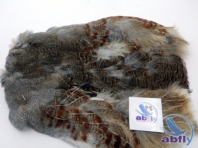 Skóra Kuropatwy (Partridge Grey Skin) 7