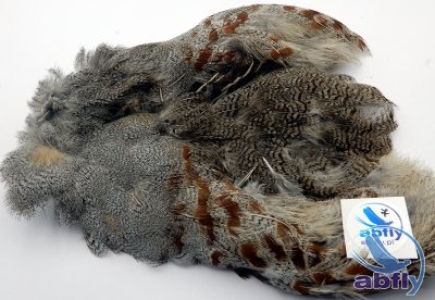 Skóra Kuropatwy (Partridge Grey Skin) 7