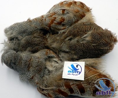 Skóra Kuropatwy (Partridge Grey Skin) 8
