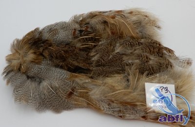 Skóra Kuropatwy (Partridge Grey Skin) 9