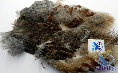 Skóra Kuropatwy (Partridge Grey Skin) 13