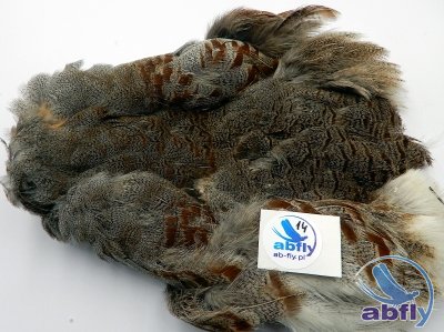 Skóra Kuropatwy (Partridge Grey Skin) 14