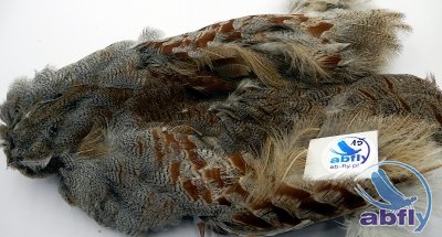 Skóra Kuropatwy (Partridge Grey Skin) 15