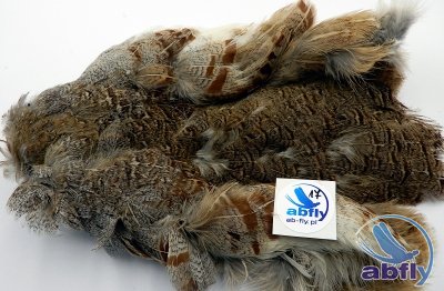 Skóra Kuropatwy (Partridge Grey Skin) 17