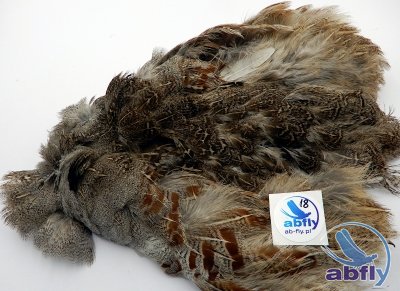 Skóra Kuropatwy (Partridge Grey Skin) 18