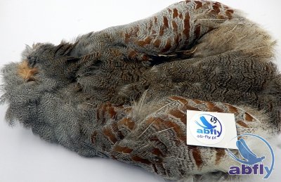 Skóra Kuropatwy (Partridge Grey Skin) 19