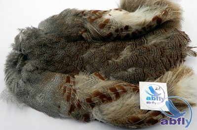 Skóra Kuropatwy (Partridge Grey Skin) 21