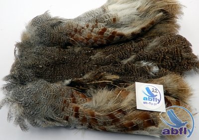 Skóra Kuropatwy (Partridge Grey Skin) 22