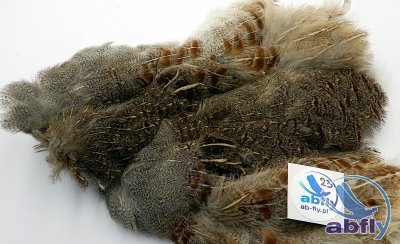 Skóra Kuropatwy (Partridge Grey Skin) 23