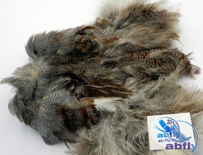 Skóra Kuropatwy (Partridge Grey Skin) 24