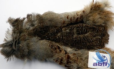 Skóra Kuropatwy (Partridge Grey Skin) 25