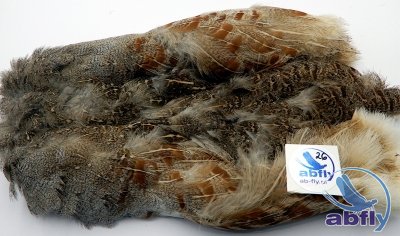 Skóra Kuropatwy (Partridge Grey Skin) 26