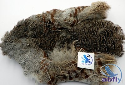 Skóra Kuropatwy (Partridge Grey Skin) 27