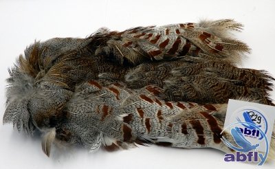 Skóra Kuropatwy (Partridge Grey Skin) 29