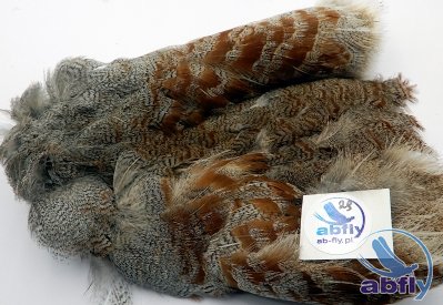 Skóra Kuropatwy (Partridge Grey Skin) 29