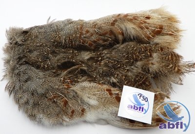 Skóra Kuropatwy (Partridge Grey Skin) 30