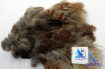 Skóra Kuropatwy (Partridge Grey Skin) 31