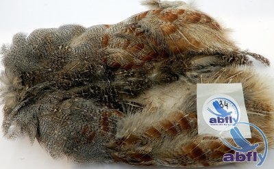Skóra Kuropatwy (Partridge Grey Skin) 34